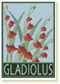 GladiolusA6
