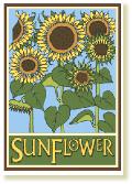 SunflowerA6