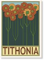 TithoniaA6a