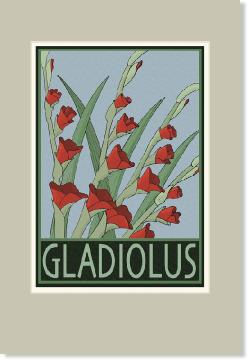 Gladiolus12x18