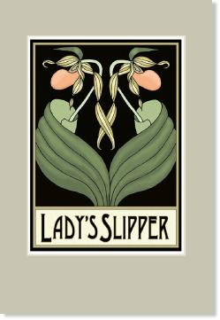 LadySlipper12x18a